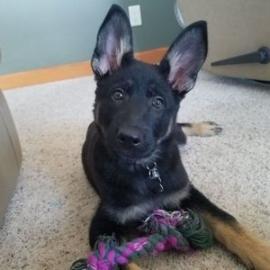 Meet your Posher, Lisa